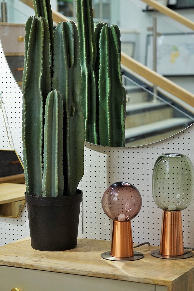 lights and faux cacti with pegboard 
