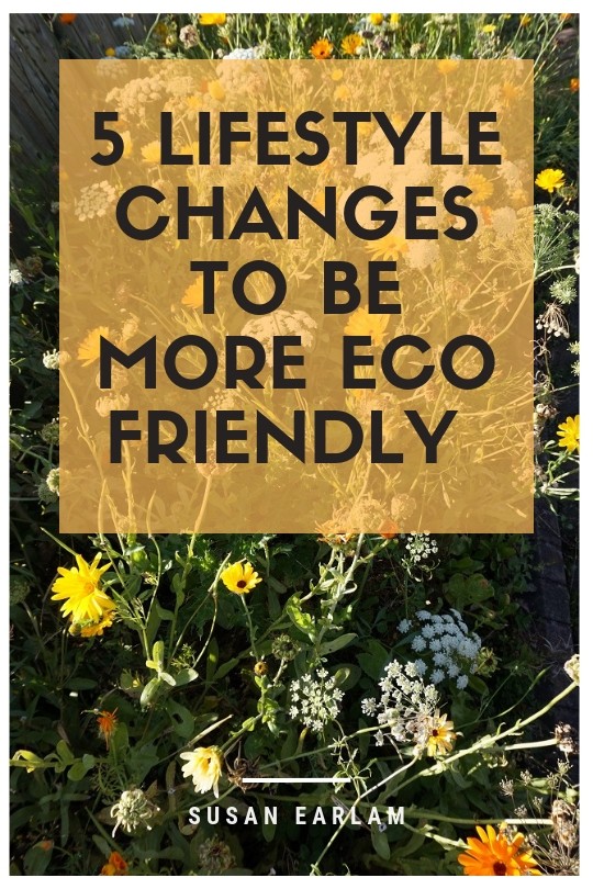 tips on how to be more eco friendly